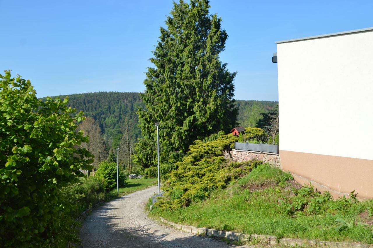 Bergpanorama Ruhla Apartment Bagian luar foto
